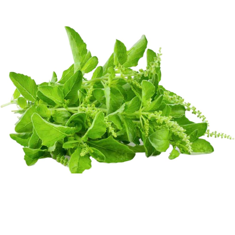 Tulsi